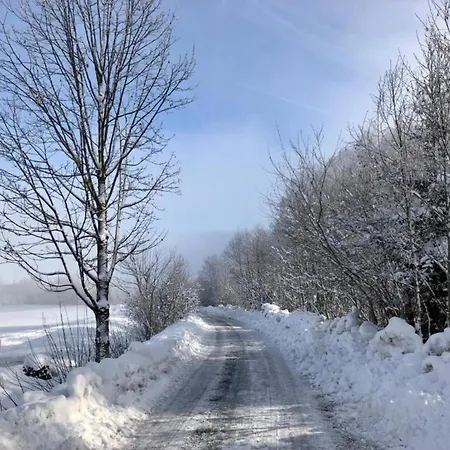 In Lengdorf Near Slopes, Cleaning Included Holiday home Niedernsill
